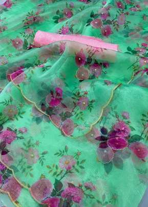 Beautiful Digital Printed Green Color Soft Organza Saree With Handwork  Sarees