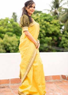 Bride Haldi heavy look Breathable Organic Banarasi   Saree on Sale