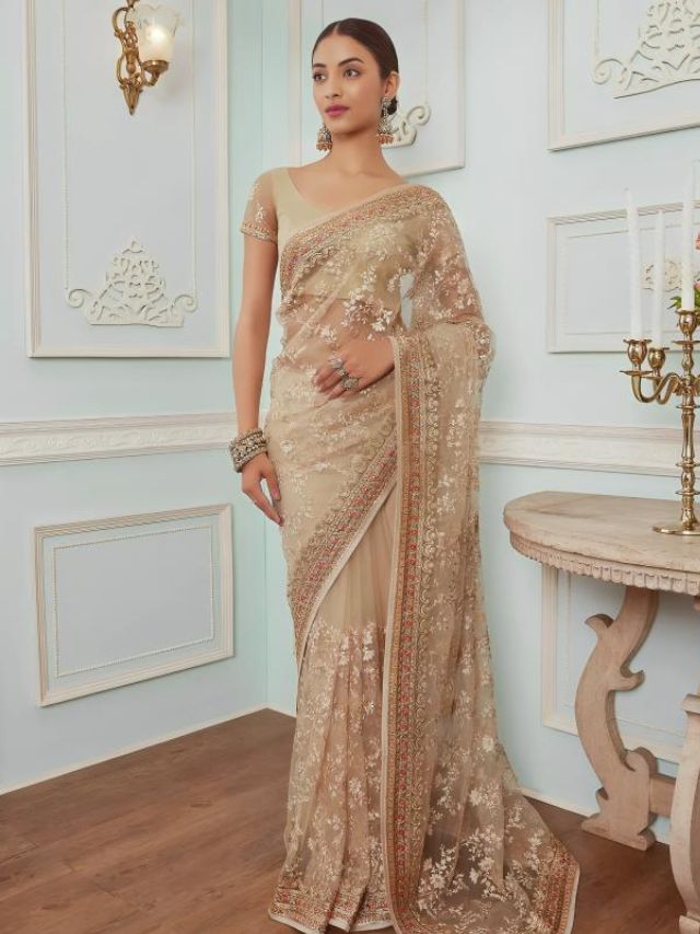 Beige net saree