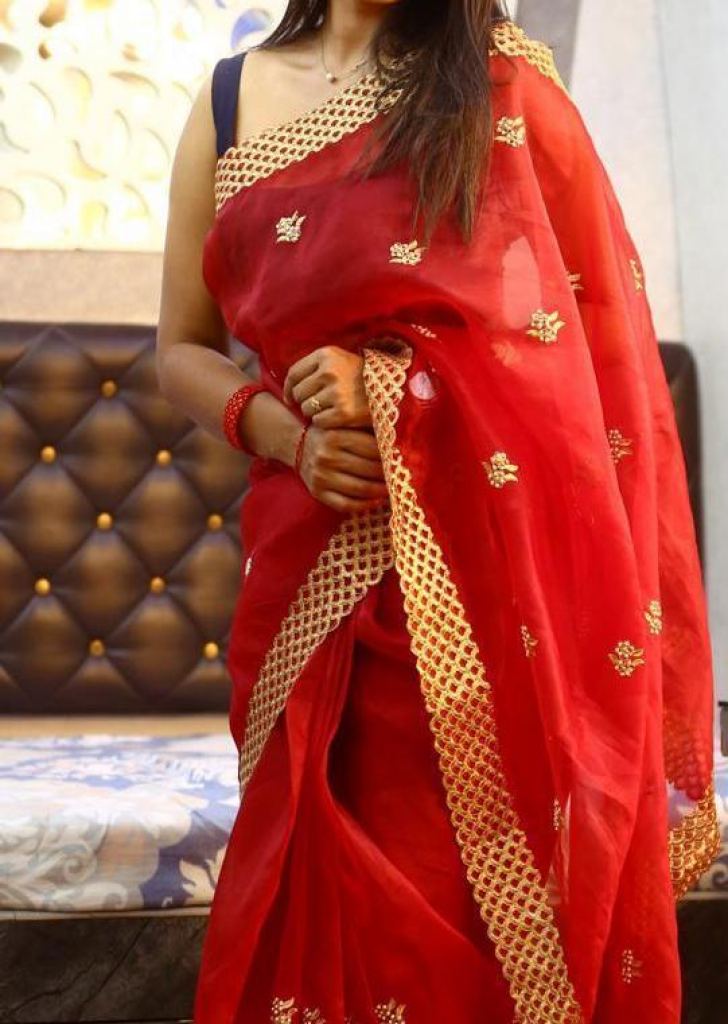 Neelima Rani Red Designer Saree - Saree Blouse Patterns