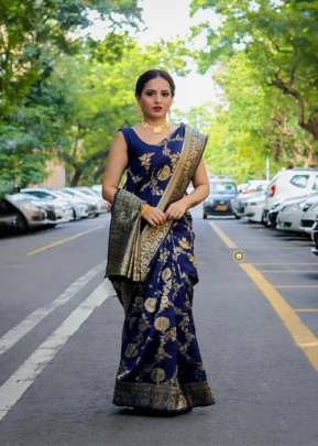 ANX 127 Soft lichi silk Organic Banarasi partywear sarees