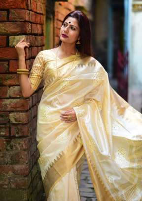 Aasam silk saree with cut work embroidered work In White partywear sarees