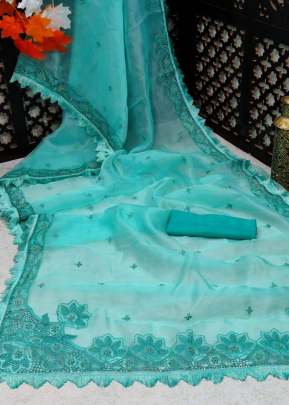 Beautiful Organza Silk Saree With Kashmiri Thread Work In Sky Blue