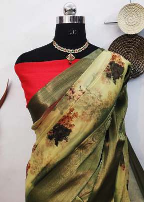 Beautiful Organza With Elegant Zari Wooven Contrast Colour Pallu In Cream organza saree