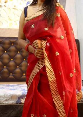 Beautiful Organza With Embroidery Work Saree In Red