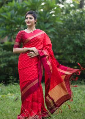 Designer Soft Raw Silk Saree In Gajree