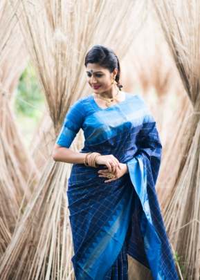 Designer Soft Raw Silk Saree In Blue Sarees
