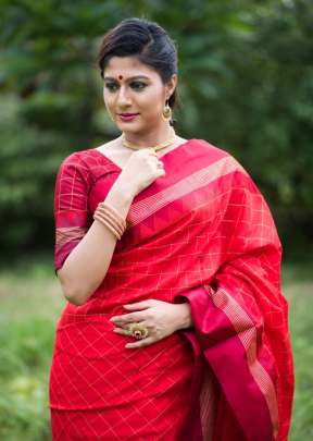 Designer Soft Raw Silk Saree In Gajree SILK SAREE