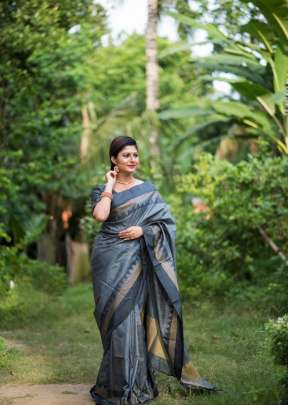 Designer Soft Raw Silk Saree In Grey SILK SAREE