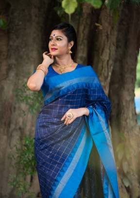 Designer Soft Raw Silk Saree In Blue SILK SAREE