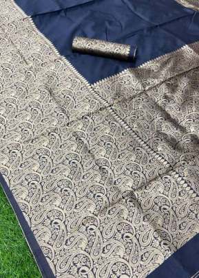 Heavy Silver Weaving Border  Soft lichi silk Organic Banarasi SILK SAREE