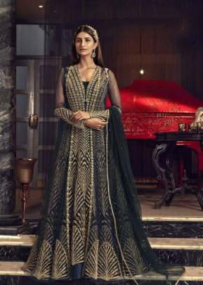 Navy Blue Jacket Butterfly Net With Embroidery Work In Pakistani Suit