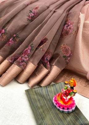 Summer Special Banarasi Organza In Light Brown 